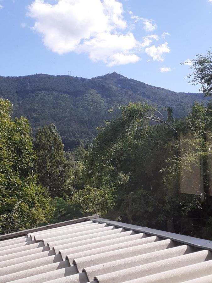 Holiday home Morada Tronador
